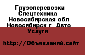 Грузоперевозки. Спецтехника. - Новосибирская обл., Новосибирск г. Авто » Услуги   